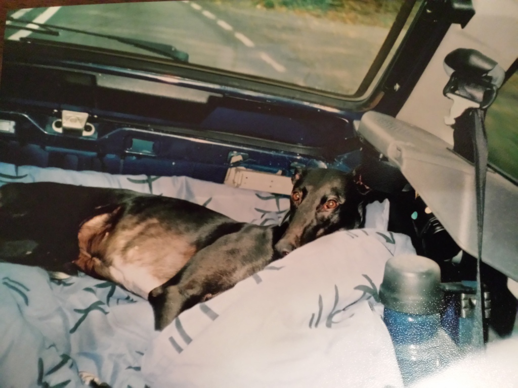 Pic of Ally in back of car